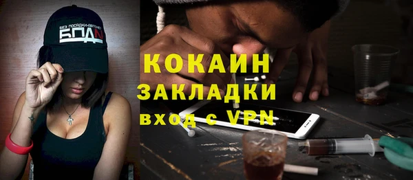 мет Алексин