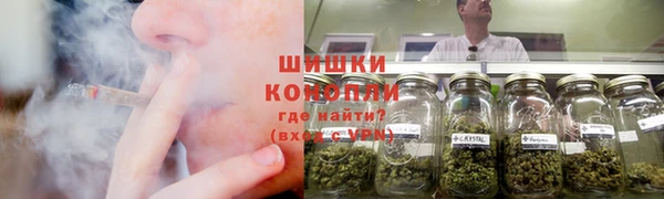 прущие грибы Алексеевка