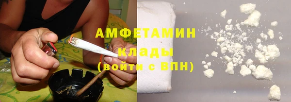 мет Алексин