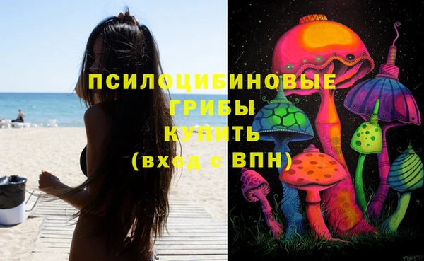 мет Алексин