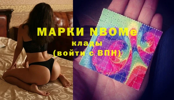 мет Алексин