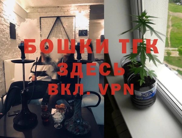 мет Алексин