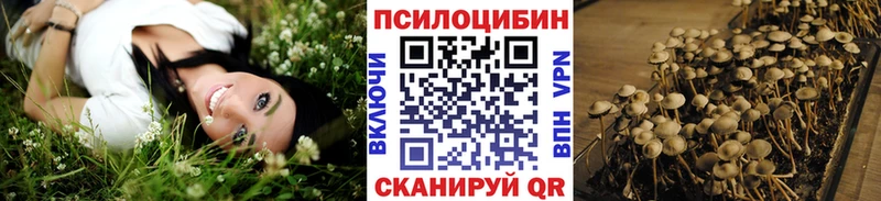 дарнет шоп  Тобольск  это как зайти  Псилоцибиновые грибы мицелий 